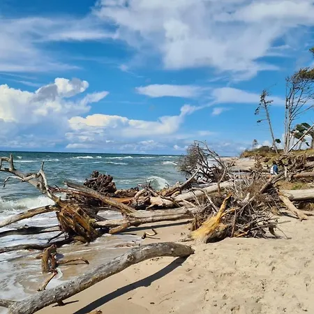 Eulennest - Ulenhoef Dom wakacyjny *